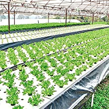 película perforada de la tierra, película de la barrera del vapor, película del invernadero, Panda Film agrícola, película reflexiva de Maylar 13