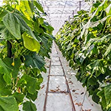 película perforada de la tierra, película de la barrera del vapor, película del invernadero, Panda Film agrícola, película reflexiva de Maylar 12