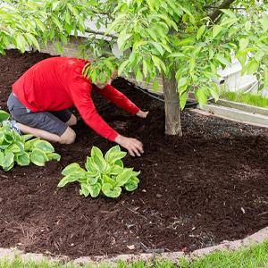 Estera del control de malas hierbas, cubierta de tierra, cama de flor, pajote, pavimentadoras, ribete, participaciones del jard&iacute;n, barrera de la mala hierba, paisaje 18