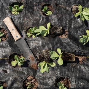 Estera del control de malas hierbas, cubierta de tierra, cama de flor, pajote, pavimentadoras, ribete, participaciones del jard&iacute;n, barrera de la mala hierba, paisaje 19