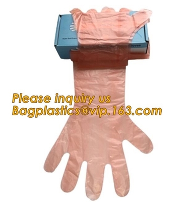 Limpieza del hogar, guantes disponibles protectores amistosos, biodegradables y abonablees, médicos Eco- de la mano