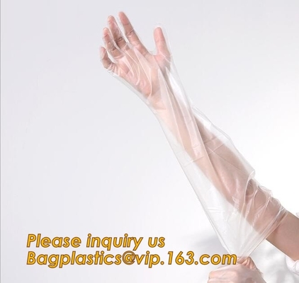 Limpieza del hogar, guantes disponibles protectores amistosos, biodegradables y abonablees, médicos Eco- de la mano