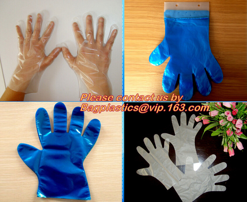 Limpieza del hogar, guantes disponibles protectores amistosos, biodegradables y abonablees, médicos Eco- de la mano