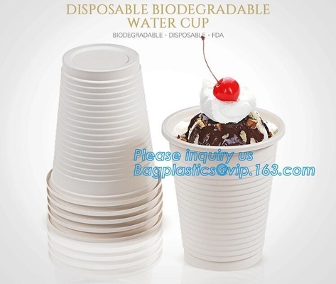 Tazas de café biodegradables amistosas abonablees del bagazo de la taza 8/12oz Eco de la caña de azúcar, pulpa del bagazo de la caña de azúcar