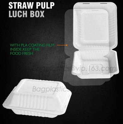 La cubierta abonable saca los envases de comida, bagazo disponible natural, respetuoso del medio ambiente, Sugar Cane Fibers
