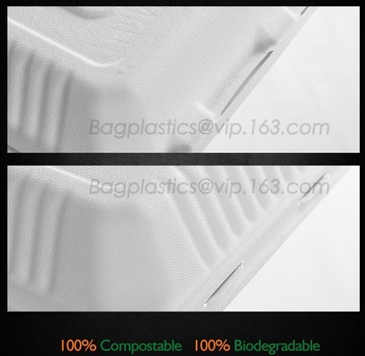 La cubierta abonable saca los envases de comida, bagazo disponible natural, respetuoso del medio ambiente, Sugar Cane Fibers