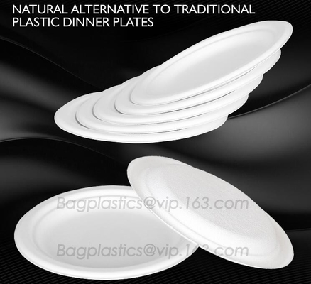 La cubierta abonable saca los envases de comida, bagazo disponible natural, respetuoso del medio ambiente, Sugar Cane Fibers