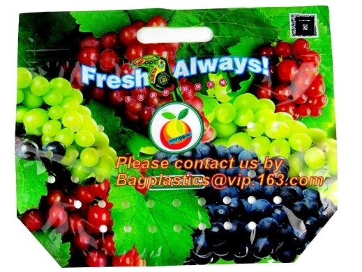 Bolsillo con cremallera, paquete vegetal, impresión de capa ULTRAVIOLETA Doypack, acondicionamiento de los alimentos, paquete Zip lockk del almacenamiento del resbalador de la fruta