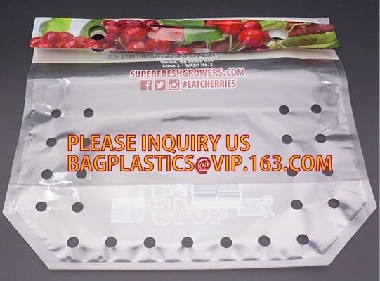 Eco amistoso, legumbre de frutas que se puede volver a sellar, acondicionamiento de los alimentos, bolso biodegradable de la película de poliéster de la nuez de los frutos secos de la hoja