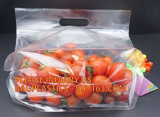 Eco amistoso, legumbre de frutas que se puede volver a sellar, acondicionamiento de los alimentos, bolso biodegradable de la película de poliéster de la nuez de los frutos secos de la hoja