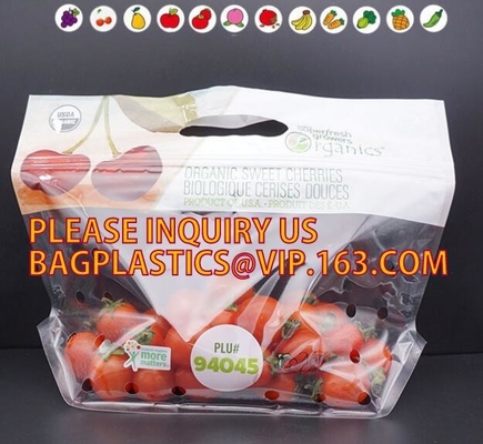 Eco amistoso, legumbre de frutas que se puede volver a sellar, acondicionamiento de los alimentos, bolso biodegradable de la película de poliéster de la nuez de los frutos secos de la hoja