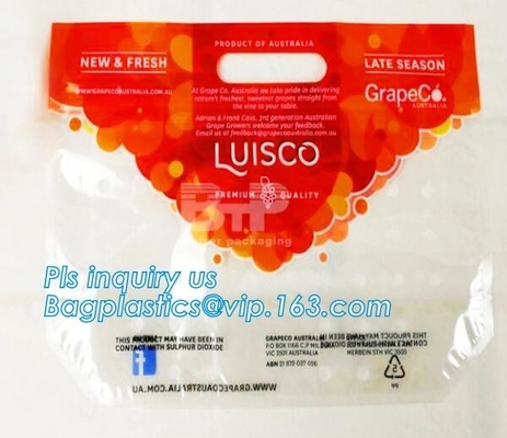 Los bolsos del embalaje de la fruta para las verduras del plátano de las uvas se colocan encima de bolsos plásticos de la comida, se levantan el bolso de la cremallera