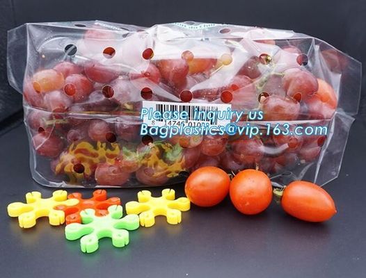 Soporte claro Zip lockk encima de los bolsos de empaquetado de la bolsa de la fruta, bolsos expresados de la producción con la cremallera, fruta vegetal al por menor