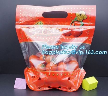 Soporte claro Zip lockk encima de los bolsos de empaquetado de la bolsa de la fruta, bolsos expresados de la producción con la cremallera, fruta vegetal al por menor