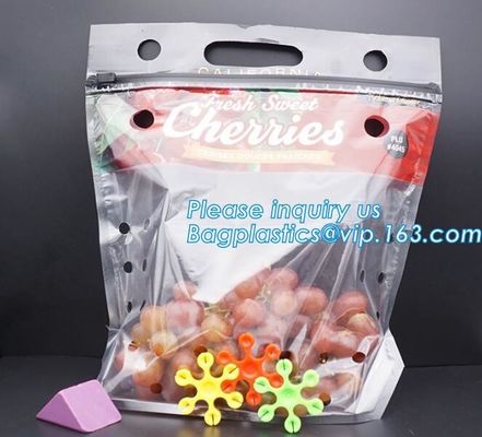 Soporte claro Zip lockk encima de los bolsos de empaquetado de la bolsa de la fruta, bolsos expresados de la producción con la cremallera, fruta vegetal al por menor