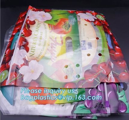 Soporte claro Zip lockk encima de los bolsos de empaquetado de la bolsa de la fruta, bolsos expresados de la producción con la cremallera, fruta vegetal al por menor