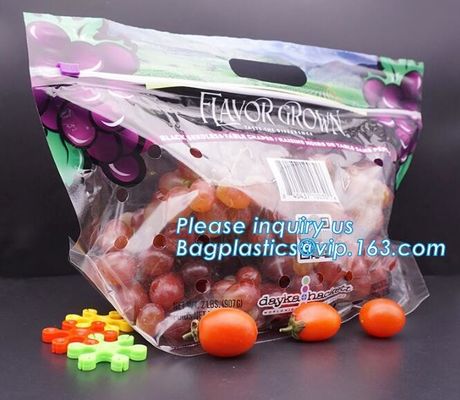 Soporte claro Zip lockk encima de los bolsos de empaquetado de la bolsa de la fruta, bolsos expresados de la producción con la cremallera, fruta vegetal al por menor