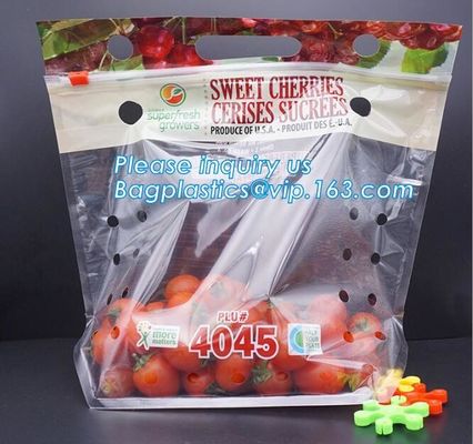 Soporte claro Zip lockk encima de los bolsos de empaquetado de la bolsa de la fruta, bolsos expresados de la producción con la cremallera, fruta vegetal al por menor