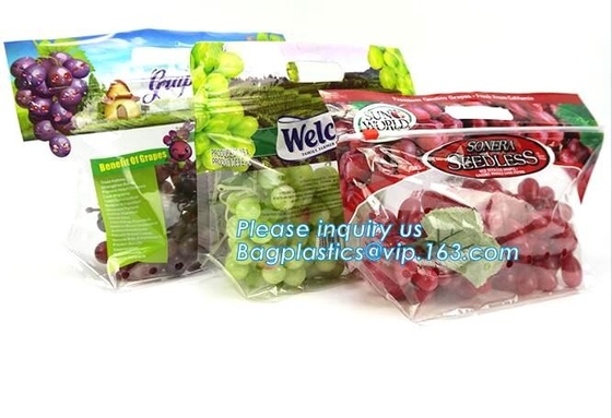 Soporte del Zip lockk de Empaque Alimentos encima del bolso seco de empaquetado del acondicionamiento de los alimentos de los frutos secos del mango del bolso de la nuez plástica del bocado