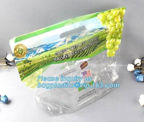 Soporte del Zip lockk de Empaque Alimentos encima del bolso seco de empaquetado del acondicionamiento de los alimentos de los frutos secos del mango del bolso de la nuez plástica del bocado