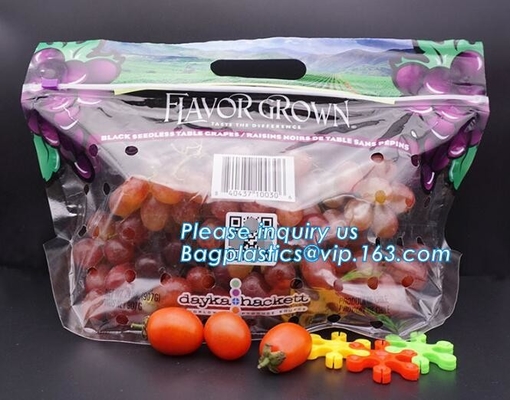 Soporte del Zip lockk de Empaque Alimentos encima del bolso seco de empaquetado del acondicionamiento de los alimentos de los frutos secos del mango del bolso de la nuez plástica del bocado