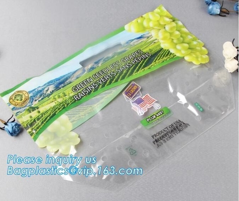Soporte del Zip lockk de Empaque Alimentos encima del bolso seco de empaquetado del acondicionamiento de los alimentos de los frutos secos del mango del bolso de la nuez plástica del bocado