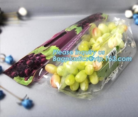 Soporte del Zip lockk de Empaque Alimentos encima del bolso seco de empaquetado del acondicionamiento de los alimentos de los frutos secos del mango del bolso de la nuez plástica del bocado