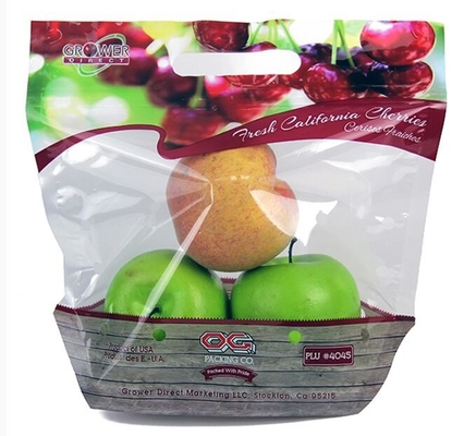 Soporte del Zip lockk de Empaque Alimentos encima del bolso seco de empaquetado del acondicionamiento de los alimentos de los frutos secos del mango del bolso de la nuez plástica del bocado