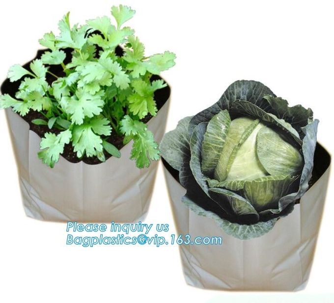 los bolsos del establecimiento de jardín de la horticultura crecen empaquetan er los bolsos de la planta, usos de la irrigación por goteo del invernadero y son excelentes para 3