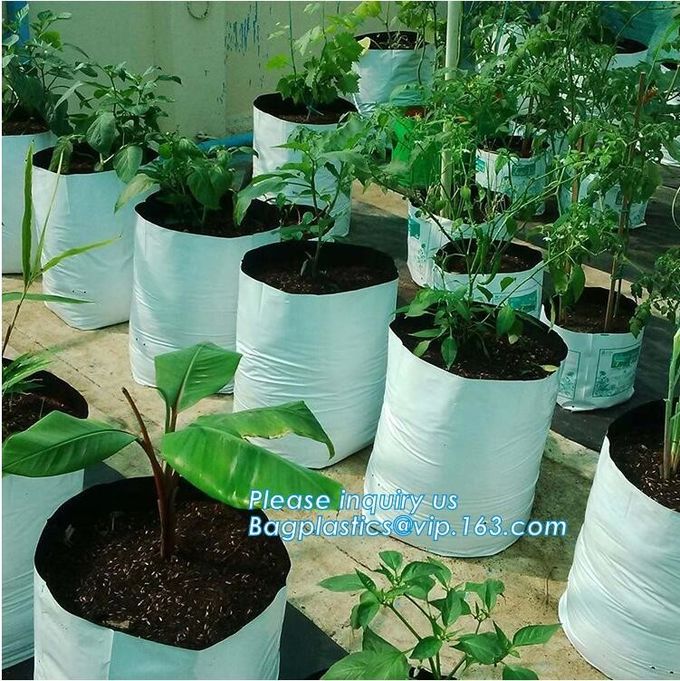 los bolsos del establecimiento de jardín de la horticultura crecen empaquetan er los bolsos de la planta, usos de la irrigación por goteo del invernadero y son excelentes para 4