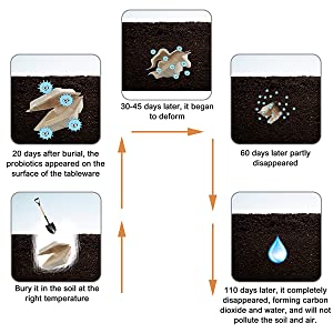 Proceso de la descomposición
