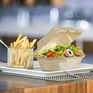 La cubierta abonable saca los envases de comida, bagazo disponible natural, respetuoso del medio ambiente, Sugar Cane Fibers 6