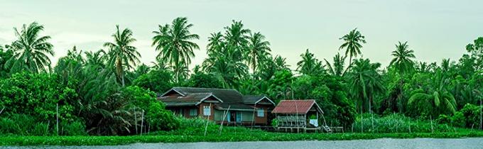 Las pajas de beber del PLA, paja gigante de CPLA, envuelta individualmente, planta basaron la paja abonable de Flexi, cóctel 9