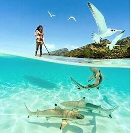 Las mujeres fruncen, organizador With Reinforced Handle, correas del bolso del almacenamiento de la manija de la bolsa para los hombres de las mujeres 2