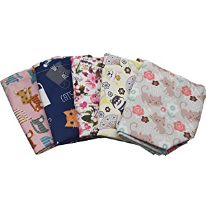 El paquete reutilizable de la tela de algodón de la lona, ALMUERZA BOLSA, lazo, Bento Box Cooler aislado, Tote Handbag 8