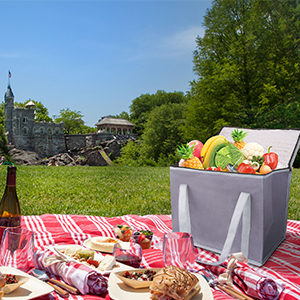 El paño de Oxford aisló los bolsos de compras reutilizables, tamaño del XL, bolso grande del refrigerador de la comida campestre, frío superior Zippered 11