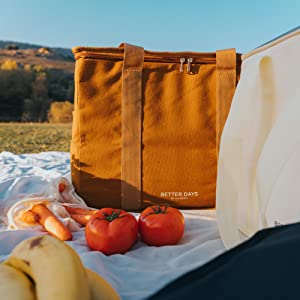Un bolso más fresco para la comida caliente fría congelada y bebidas - bolso aislado para la playa, comida campestre, bolsos de compras 2