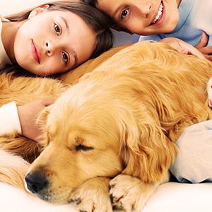 Cinta frágil, lacre de la caja, lacre del cartón de Bopp, pegamento de envío, cinta transparente que embala, Maling expreso 16